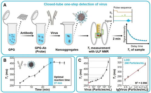 中国科学院研发出检测病毒和蛋白相互作用的磁性生物传感技术
