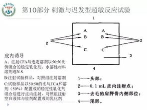 一文看懂医疗器械生物相容性检测