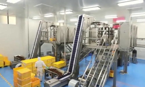 大型卤肉加工厂如何腌制食材 批量加工卤货必须用真空滚揉机吗