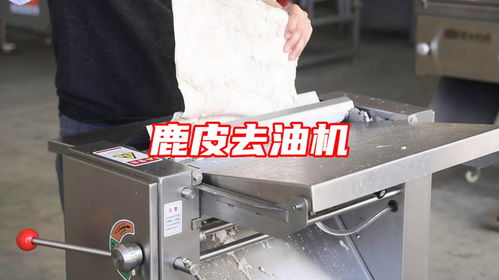 鹿皮去油用什么机器 自动刮肉皮油脂机多功能猪皮去油机